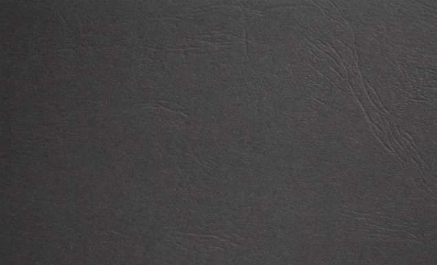 Side loading slip in Black/Gold Tyndell Prestige Mount 3.5x5, 4x5, 4x6, 5x7, 8x10 vertical/horizontal leather texture.