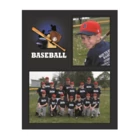 We also sell a similar product PS-103 Baseball Memory Mate by Tyndell
