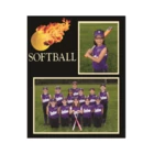 We also sell a similar product PM-7016 Softball Memory Mate by TAP