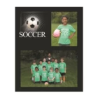 We also sell a similar product PS-101 Soccer Memory Mate by Tyndell