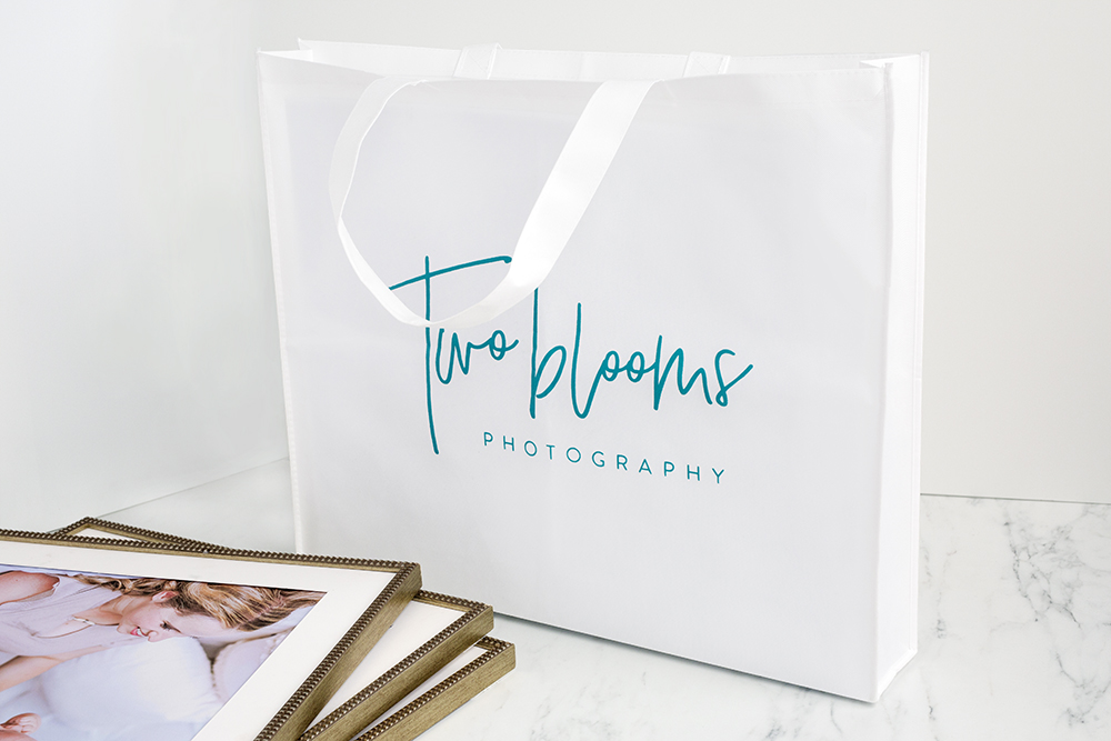 White Frame Bag