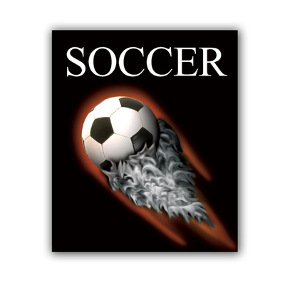 Tyndell PS-201 Soccer Easel Mount